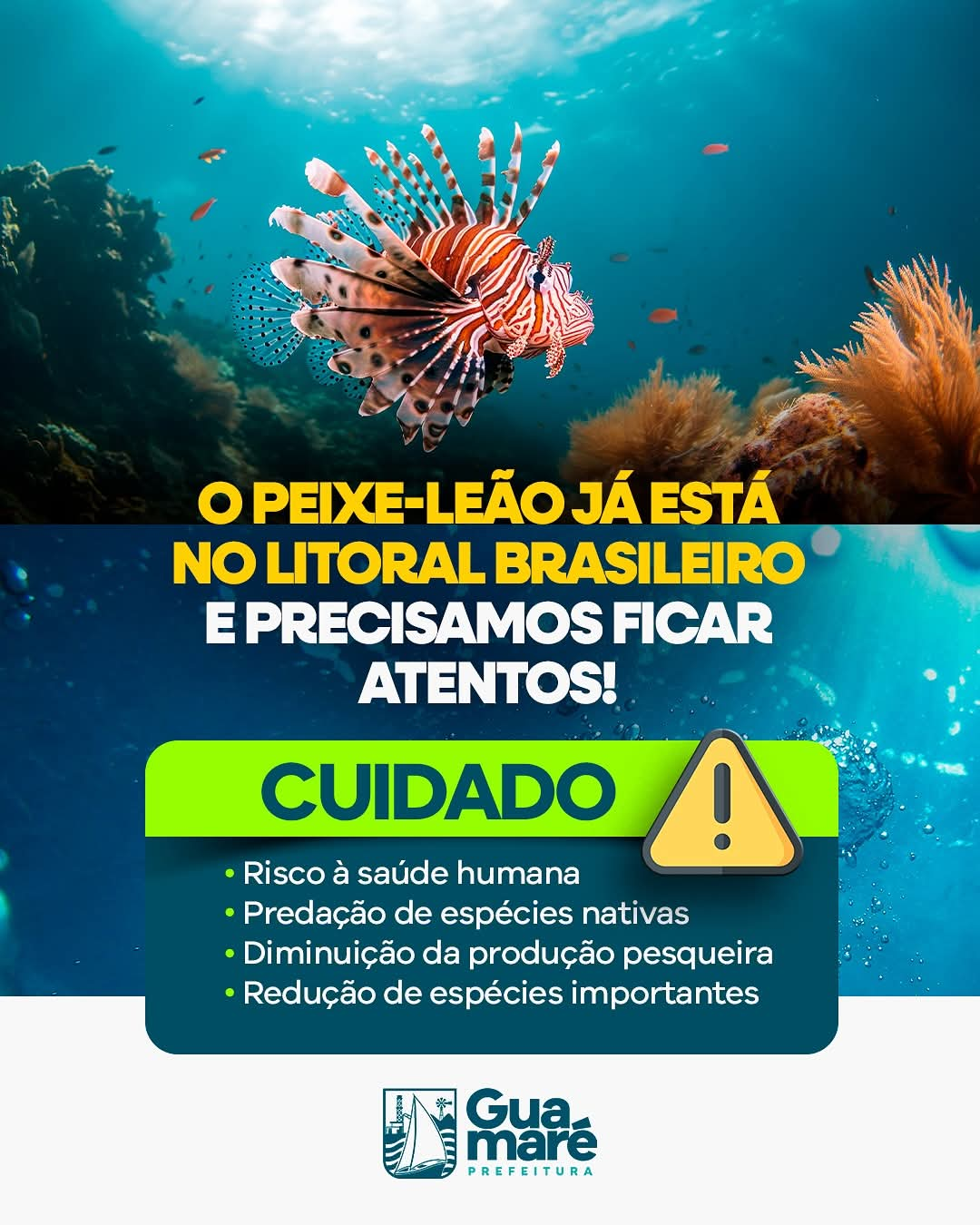 Incidente com peixe-leão em Guamaré alerta pescadores para os riscos dessa espécie invasora